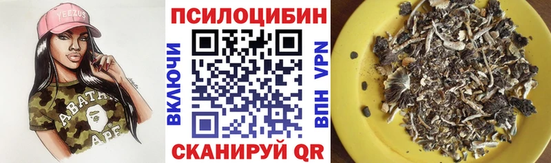 Купить закладки  Мценск  Псилоцибиновые грибы Cubensis 